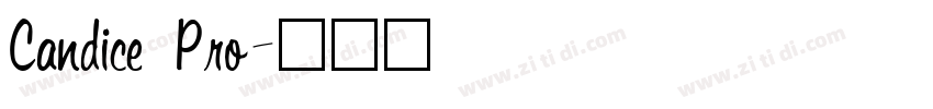 Candice Pro字体转换